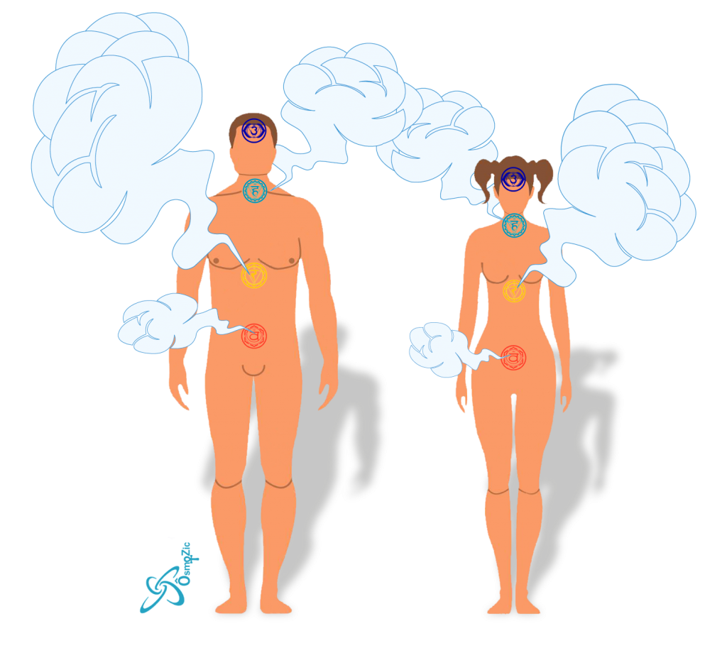 Silhouette de l'homme